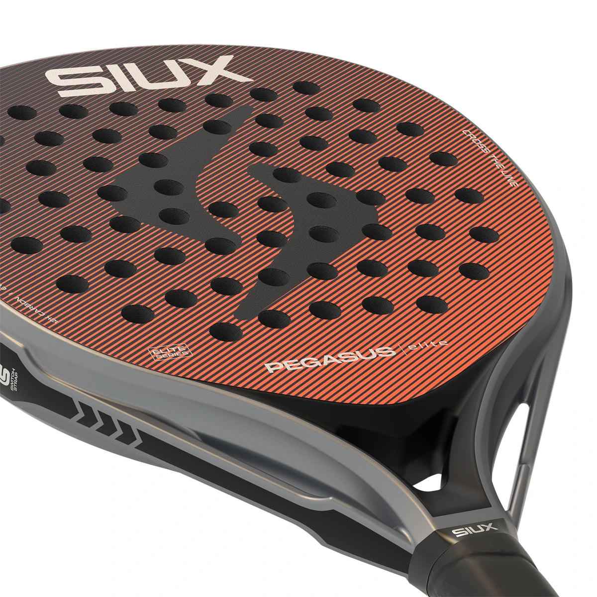 Siux Pegasus Elite 4 Padel Racket