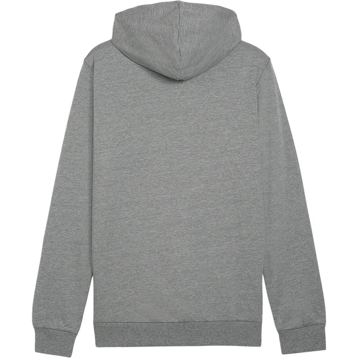 Puma Casual Team Goal A Hoody