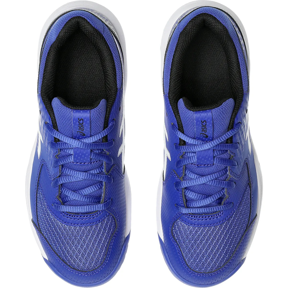 Asics Junior Gel Dedicate 8 All Court Shoes