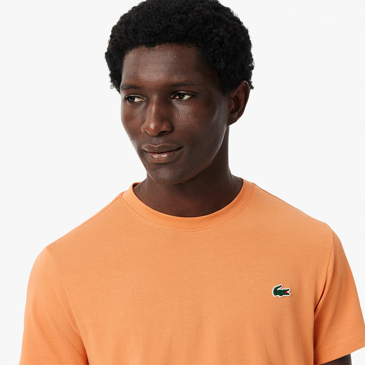 Lacoste Core Performance Graphic T-Shirt