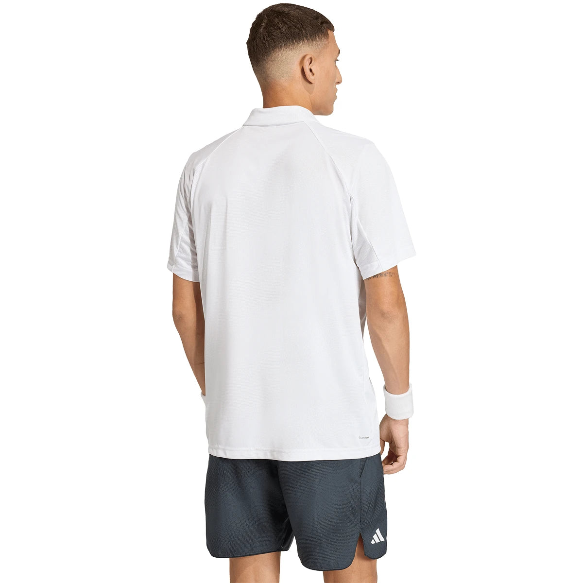 adidas Club Graph Polo