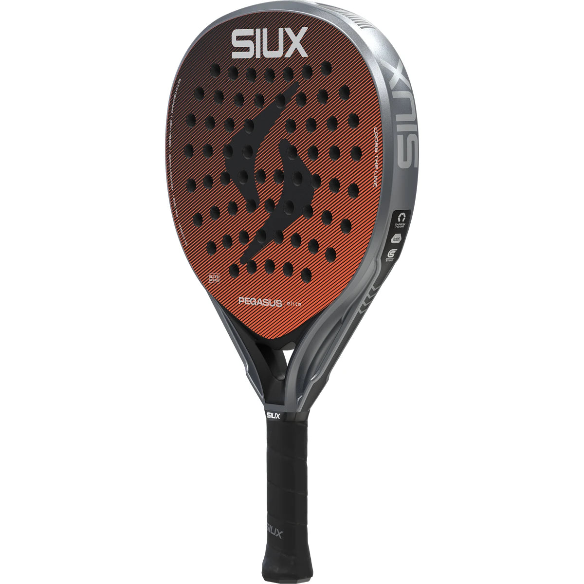 Siux Pegasus Elite 4 Padel Racket