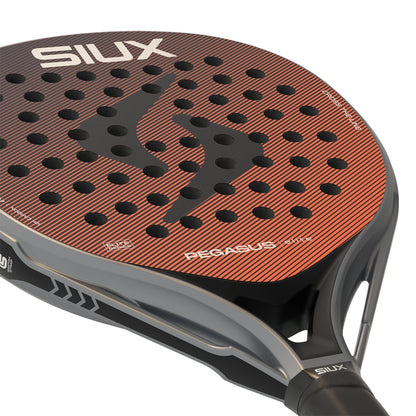 Siux Pegasus Elite 4 Padel Racket