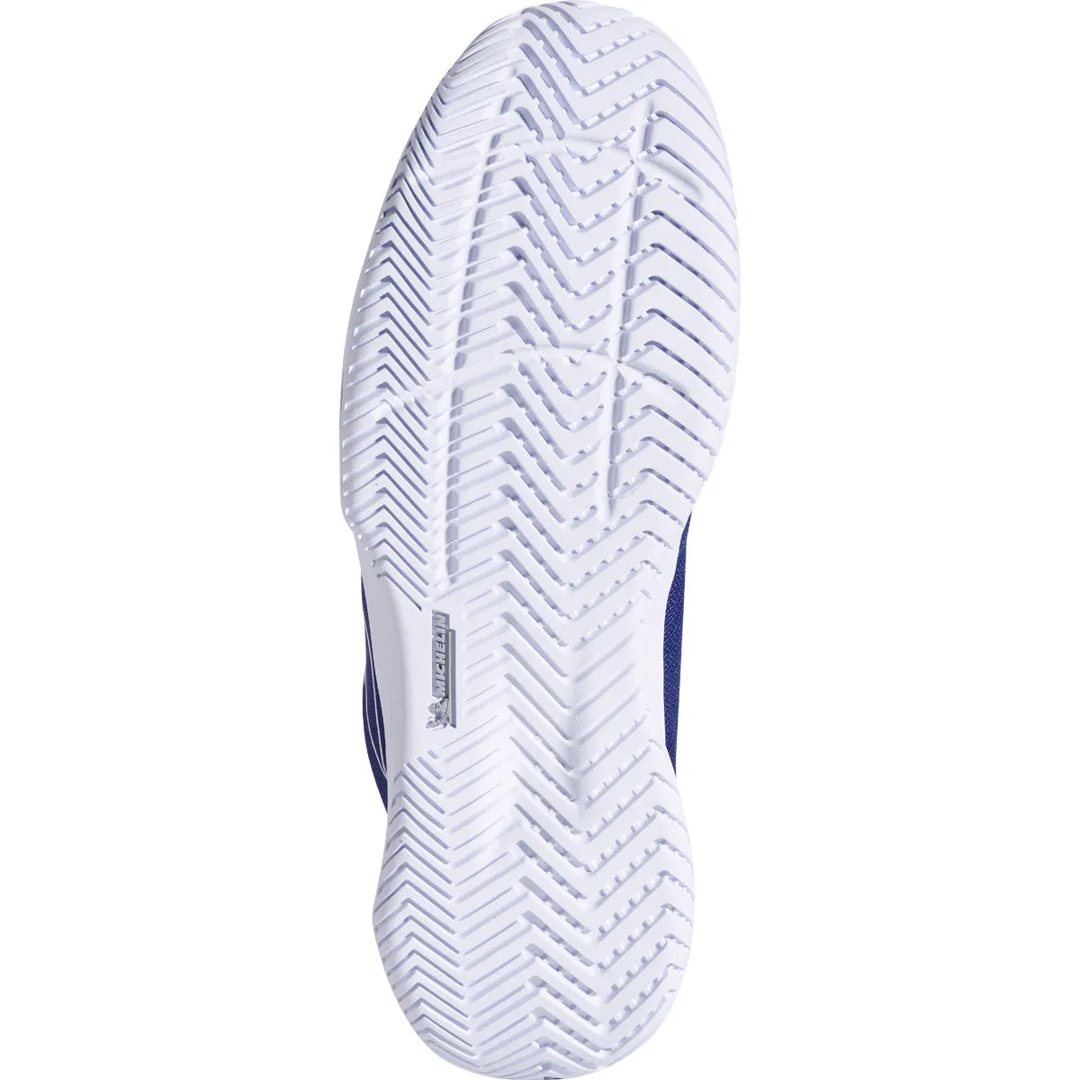 Babolat Sfx Evo All Court Shoes