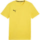 Puma Casual Team Goal T-Shirt