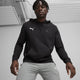 Puma Casual Team Goal A Hoody