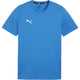 Puma Casual Team Goal T-Shirt