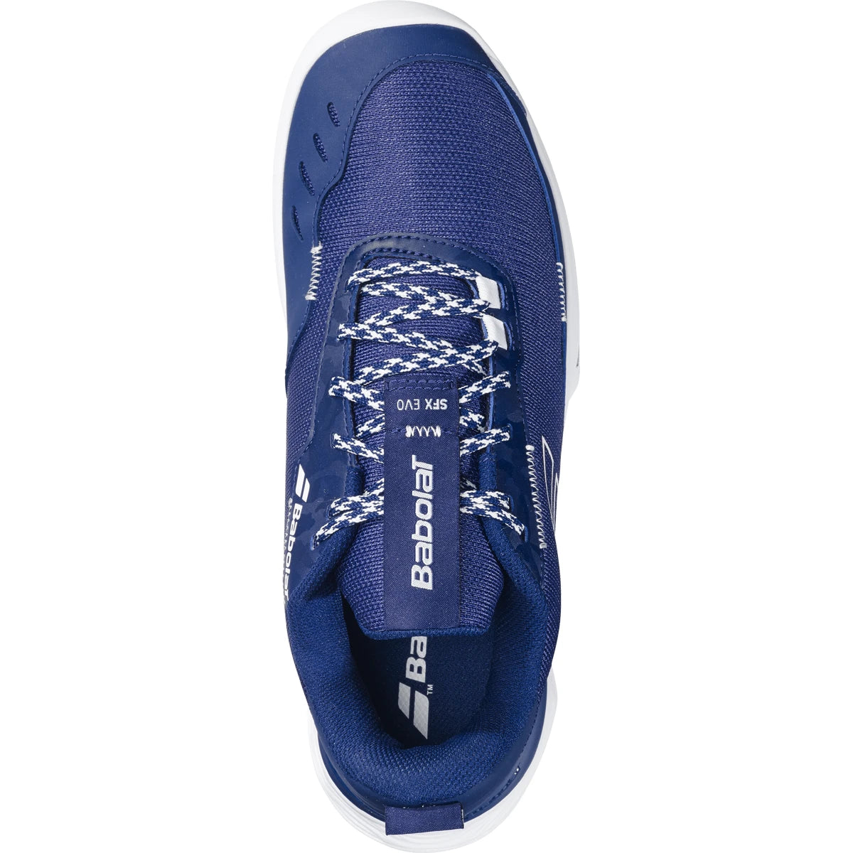 Babolat Sfx Evo Carpet All Court Shoes