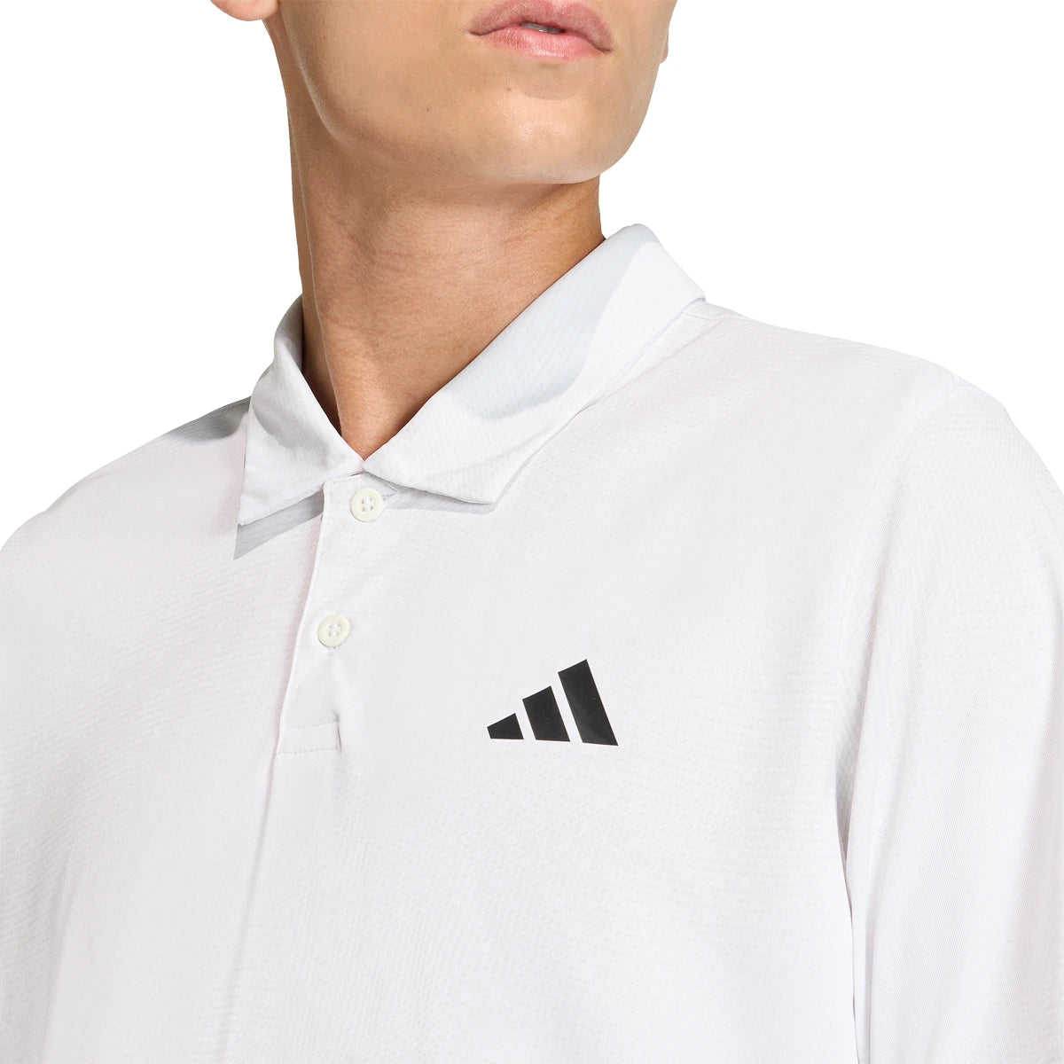 adidas Club Graph Polo