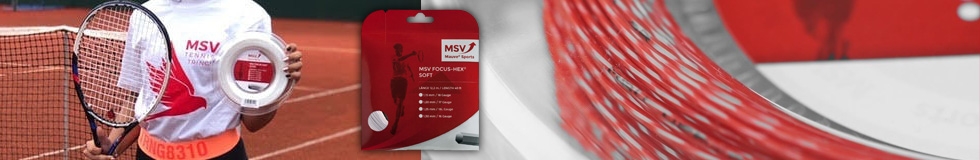 MSV