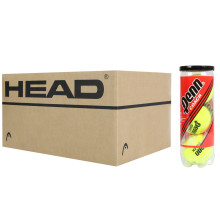 CARTON DE 12 TUBES DE 3 BALLES PENN COACH RED LABEL