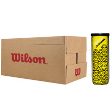 CASE OF 24 TUBES OF 3 WILSON MINIONS CHAMPIONSHIP BALLS