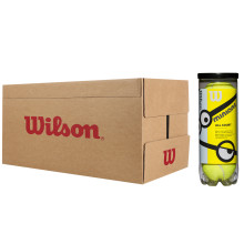 CASE OF 24 TUBES OF 3 WILSON MINIONS STAGE 1 BALLS