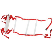 AGILITY LADDER PA660