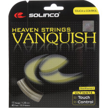 SOLINCO VANQUISH ROPE (12 METRES)