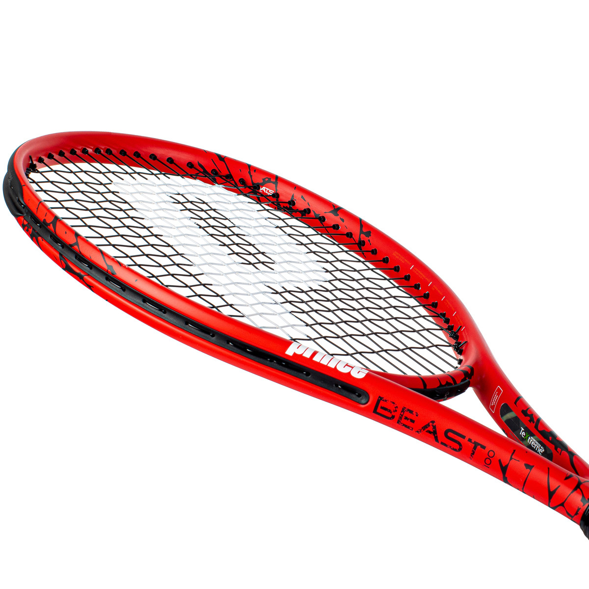 犬山焼　盃　箱付き　R37-3 PRINCE BEAST 300 LIMITED RACKET (300 GR) - PRINCE - Adult