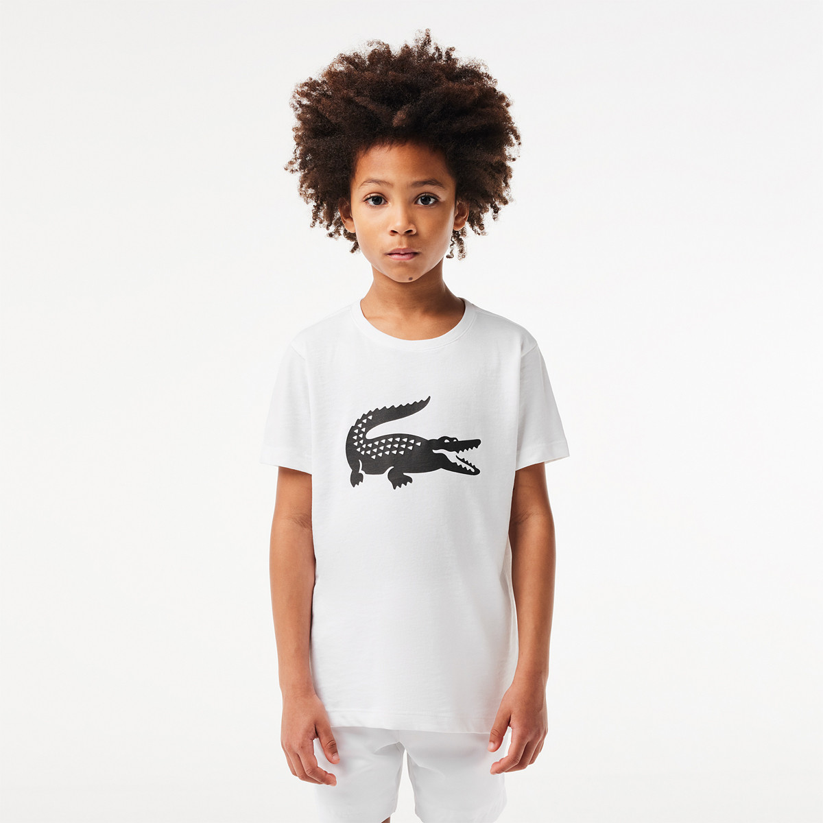 JUNIOR BOYS LACOSTE CROCO T SHIRT LACOSTE Juniors Clothing Tennispro