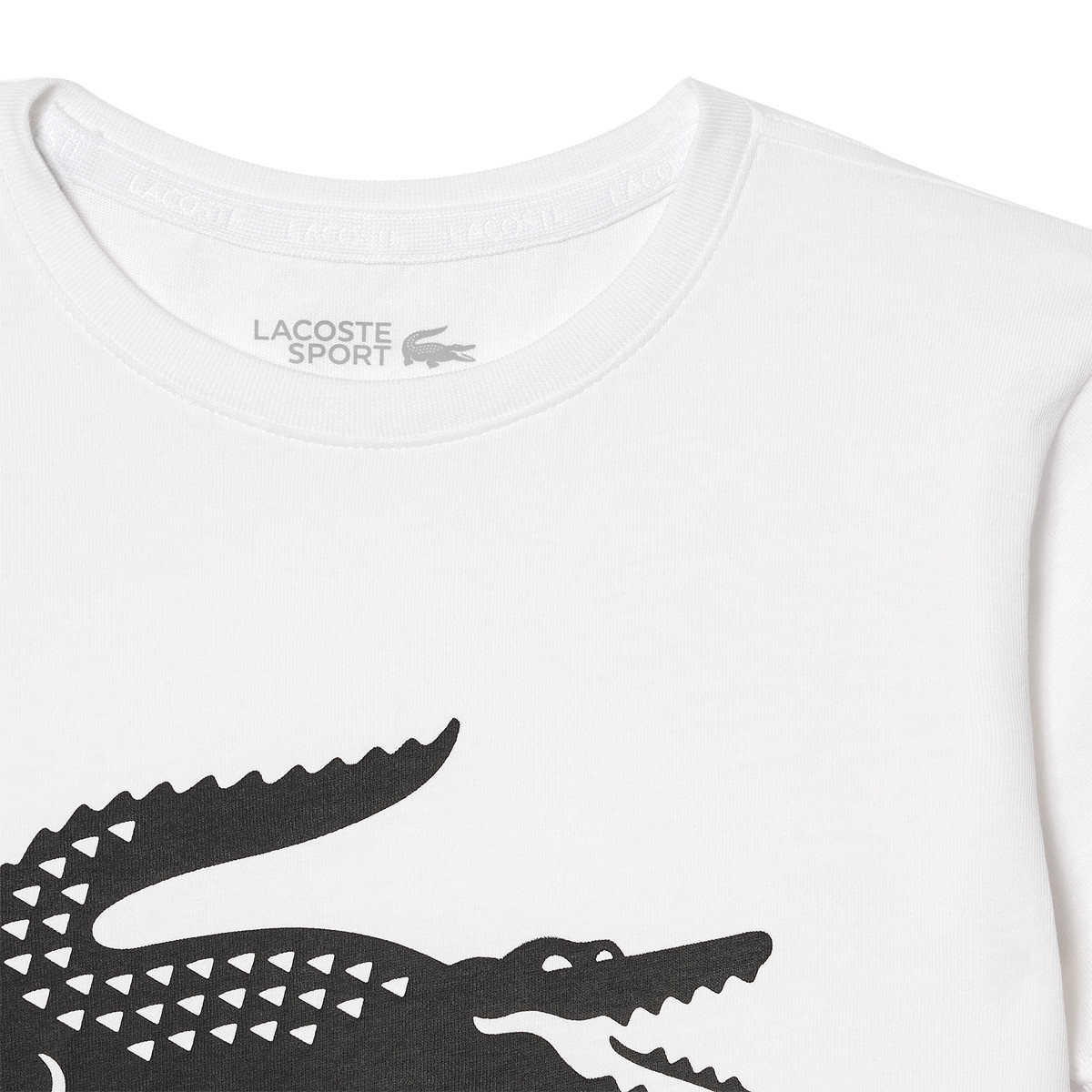 Lacoste sport junior clearance